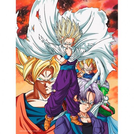 SD TOYS Dragon Ball Z Heroes vs Cell glass poster