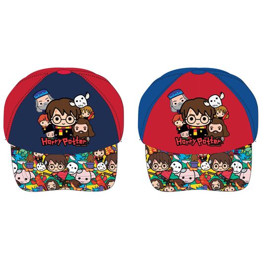 WARNER BROS. DISCOVERY Harry Potter assortd kids cap