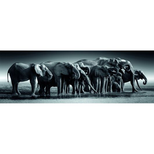 Clementoni Puzzle - High Quality Herd of Giants Panorama 1000pcs