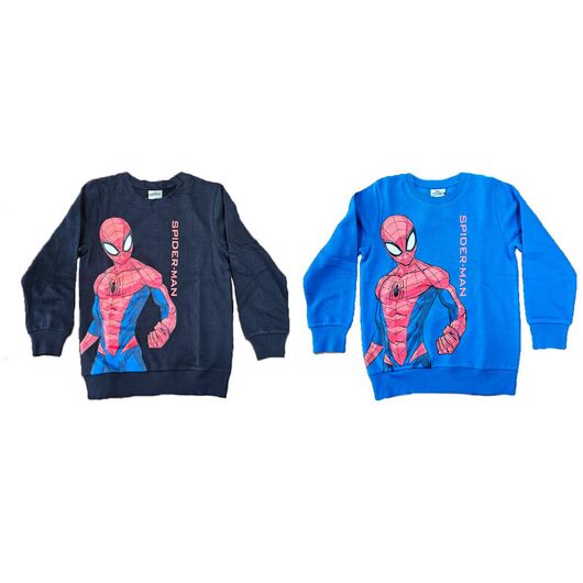 MARVEL Marvel Spiderman assorted sweatshirt