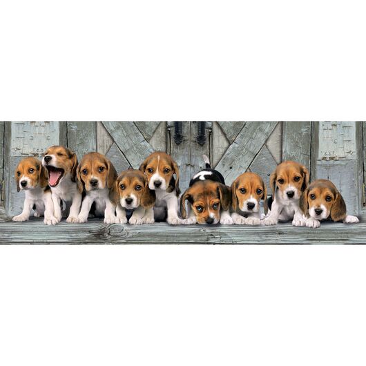 Clementoni Puzzle - Panorama Beagles 1000 pcs