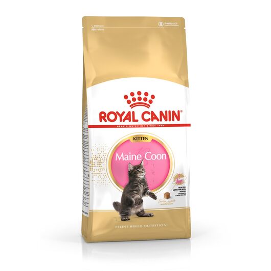 ROYAL CANIN Maine Coon Kitten- dry cat food - 4 kg