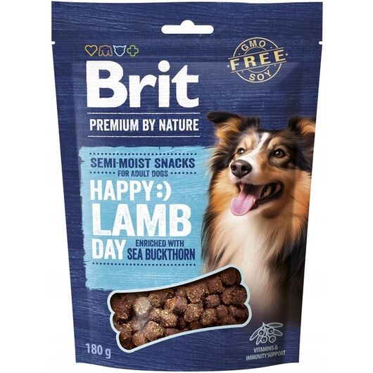 BRIT Premium Dog Snack Lamb with Seabuckthorn – dog treat – 180 g