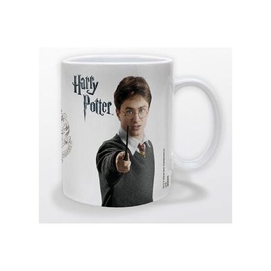 PYRAMID Harry Potter ceramic mug
