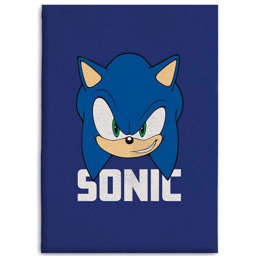 SEGA Sonic The Hedgehog polar blanket