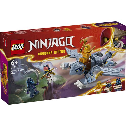 71810 Ninjago Draghetto Riyu